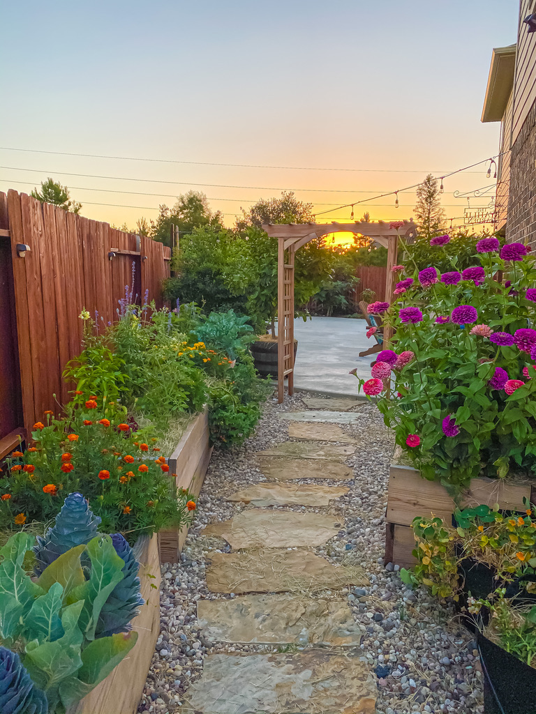 Backyard Orchard and Vegetable Garden