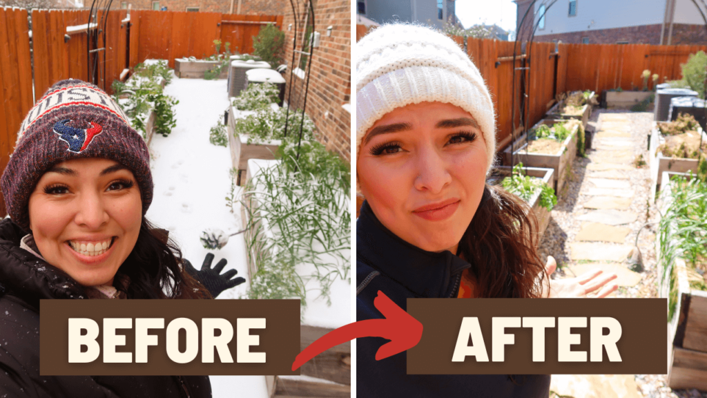 Before and After Snow Storm
