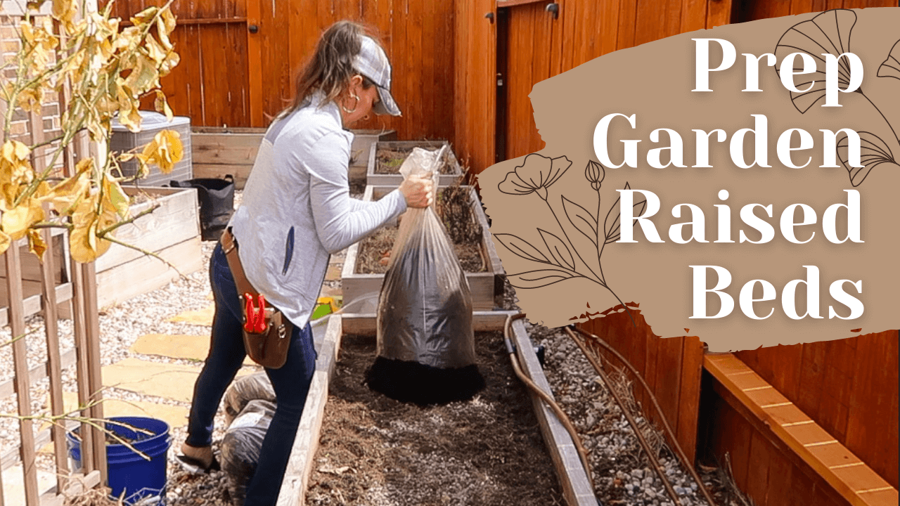 Prepping Raised Beds